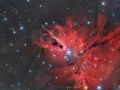 NGC 2264 – Nebulosa Cono